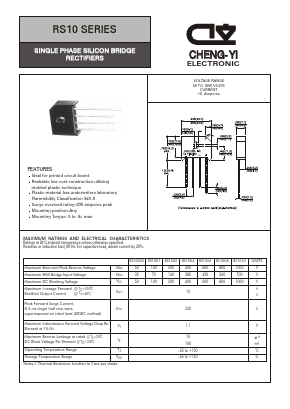 RS10 image