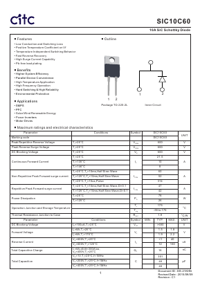 SIC10C60 image