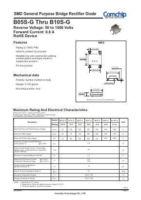 B10S-G image