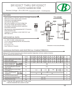 SR10100CT image