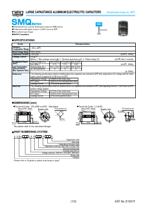 ESMQ161VSN102MP40S image