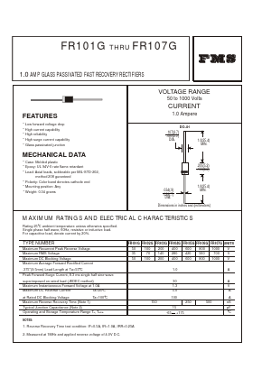 FR101G image