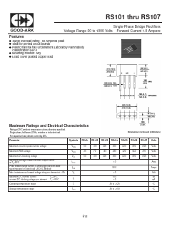 RS101 image