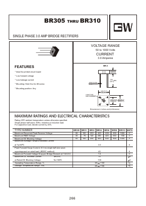 BR305 image