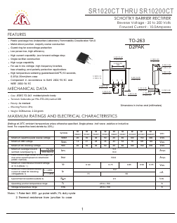 SR10100CT image