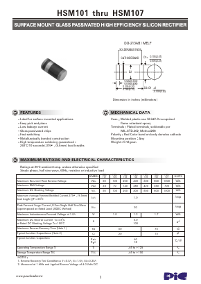 HSM101 image