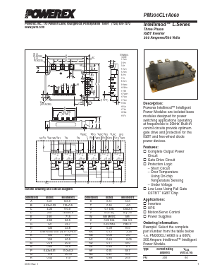 PM300CL1A060 image