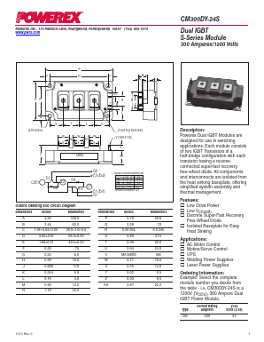 CM300DY-24S image