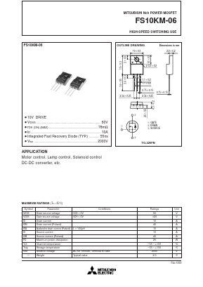 FS10KM-06 image