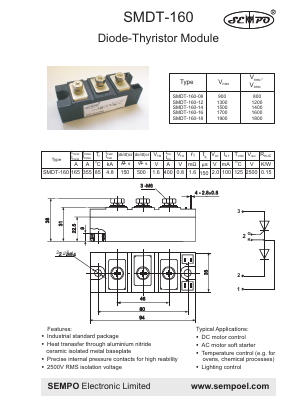 SMDT-160 image