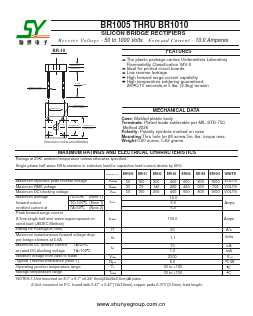 BR1005 image