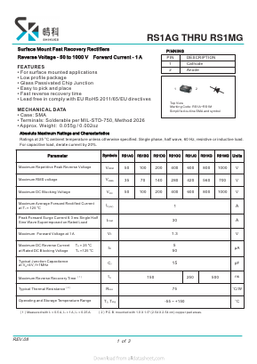 RS1MG image