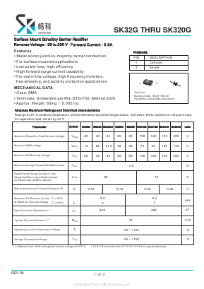 SK310G image