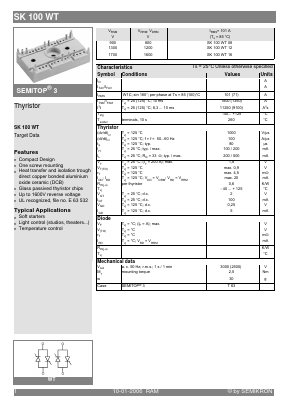 SK100WT image