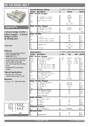 SK100DGDL066T image