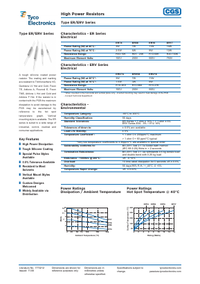 ER74100RDT image