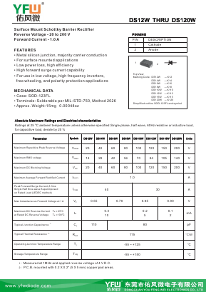 DS12W image