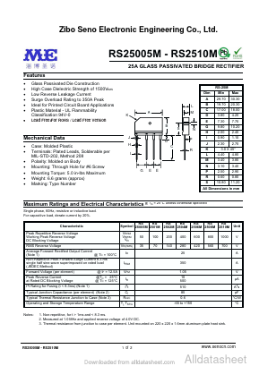 RS25005M image